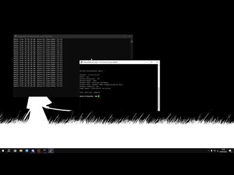 ShackurC2 Downs An IP Using DNS Method Cheap 300gbps botnet more info in desc