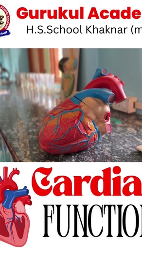 Cardiac function" #education #heart #inspiration #academia #confidence #hearttouching #heart