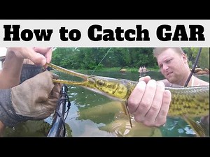 Freshwater Longnose Gar Fishing: How To Catch Longnose Gar In A River | SFSC