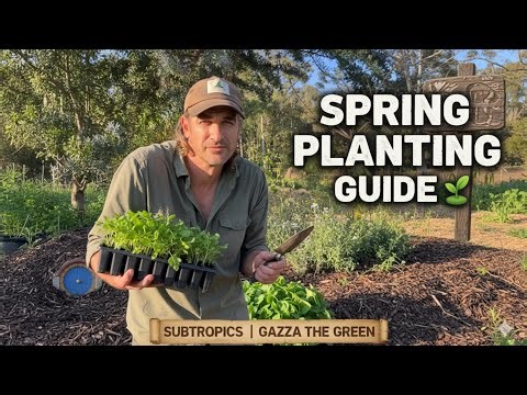 How to Plant a Spring Garden in the Subtropics Soil, Crops & Water Tips!