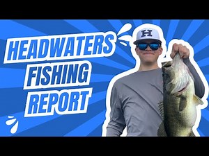 This is happening at Headwaters Lake April 2025