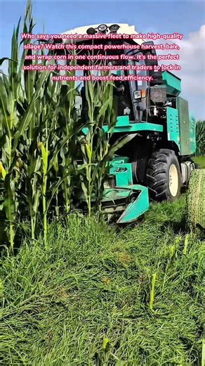 Silage Simplified! 🌽🚜 Instant Baling for Small Farms #farming #farmer #how #farm #cattle #feed
