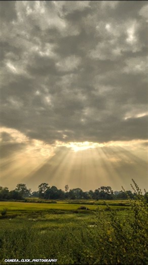 Creative Photography I Tips & Tricks with Phone using Pro Mode 📸 |Mobile Photography Hacks🔥