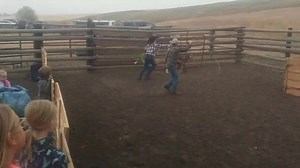 1.6K views · 39 reactions | Kids were having a great time Friday evening at the goat roping event, hosted by Two Bar V Livestock at Cottonwood. | Idaho County Free Press | Facebook