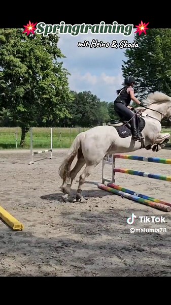 Springtraining Heino & Skoda