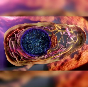 6.2K views · 246 reactions | This cell will probalby be the protagonist in an upcoming animation. Stay tuned. | Ribosome Studio | Facebook