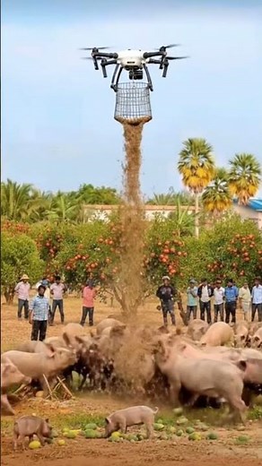 Smart Farming with Drones | Feeding Animals Using Drone Technology!