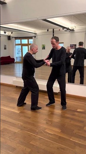 Push Hands Yang Skills 4/4 - Exploding / Fajin 💥