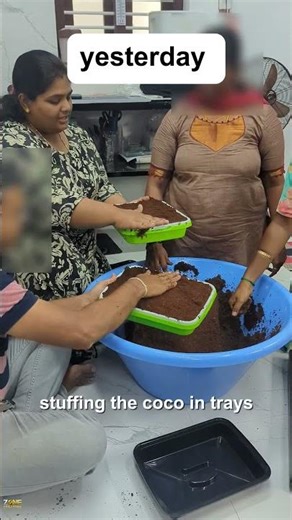 From a small idea to a powerful green business