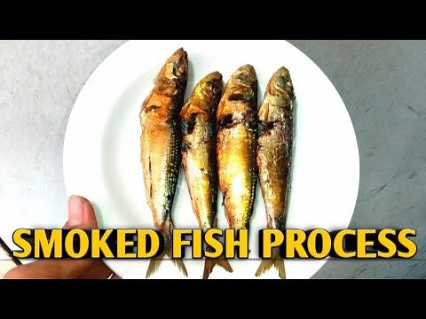 SMOKED FISH PROCESS: smoking sardines