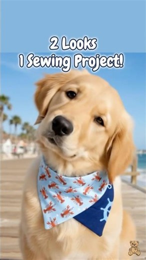 2 Looks, 1 Sewing Project! 🐶 Reversible Dog Bandana (Over-the-Collar)