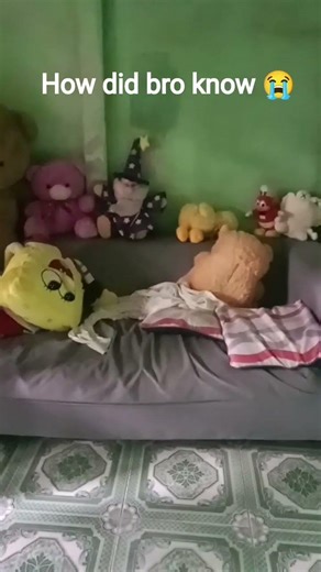 i found hand puppets home