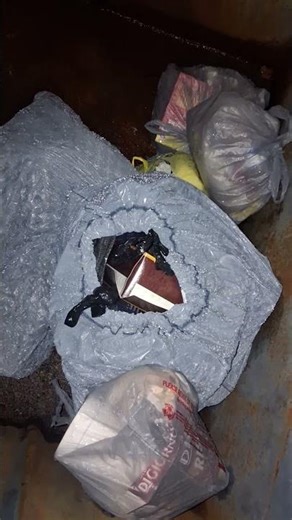 I dumpster dive a church