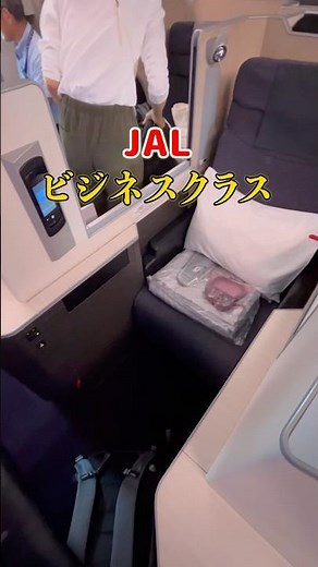 JAL Business Class Review: 777-300ER SKY SUITE Flight from Haneda to Helsinki