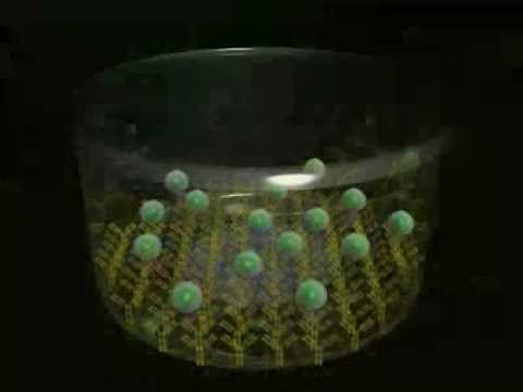 Principles of T-SPOT®.TB Assay