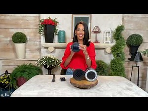 Garden Reflections Set of 6 2-in-1 Solar Stake and Wall Lights on QVC