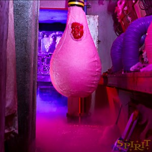 A sweet, NEW prop has landed. The Killer Klowns from Outer Space Cotton Candy Cocoon Static Prop is 6 feet tall with movie quality details you don't want to miss out on. Shop now: https://bit.ly/40KFvda | Spirit Halloween