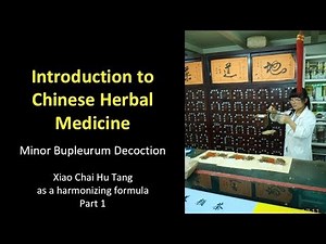 Minor Bupleurum Decoction - Xiao Chaihu Tang - Part 1
