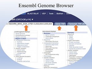 A Advanced Bioinformatics, 27 Sep 2025, Part 1