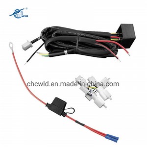 [Hot Item] Customized Auto Electrical Wiring Harness Loom Cable Assembly
