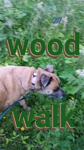 Wood Walk