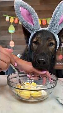 Devilled Dog Eggs