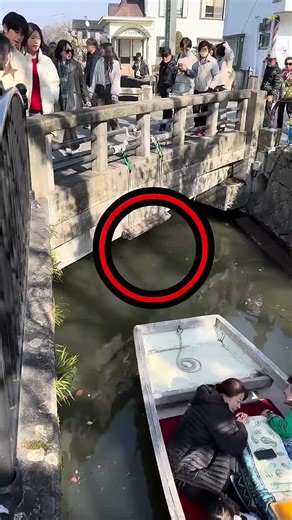 LIVE Incentive Program & LIVEFEST 2026 Guide