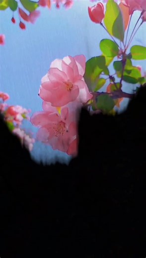 Meaningful WhatsApp Status Ideas to Inspire You