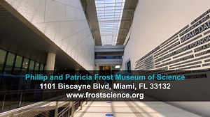 Wondering what a visit to the reopened Frost Science is all about? Watch this brief video and learn what to expect and how we’re keeping our guests, staff and animals safe. | Phillip and Patricia Frost Museum of Science