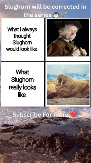 Slughorn will be corrected in the series 🧙‍♂️🪄#harrypotter #hogwarts #character #pottermore #hp