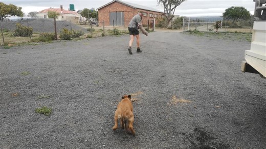 Linx (@linx_gs)’s videos with original sound - Linx