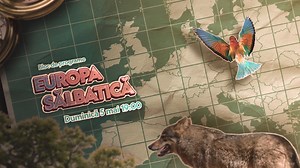 106K views · 188 reactions | Europa este un continent spectaculos, cu peisaje magnifice care îți taie răsuflarea. Urmărește blocul de programe „Europa Sălbatică” și descoperă poveștile fascinante ale acestui continent. Se difuzează în fiecare duminică, de la 19:00, la National Geographic WILD. | National Geographic | Facebook