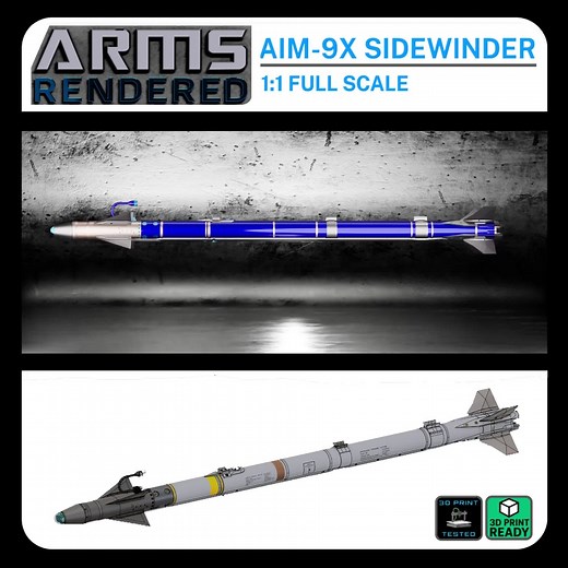 AIM-9X SIDEWINDER 🔹3D Print Ready 🔹 Extreme Detail >🔹50   Parts, A.R.M.S. RENDERED