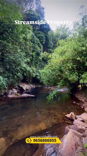 About Makkimala : Makkimala is a scenic, lesser-known hill station in the Wayanad district of Kerala, India, known for its natural beauty, misty landscapes, forests, rivers (like the Makkimala River), and tranquility, offering nature retreats, trekking opportunities, and birdwatching, often accessed from Mananthavady, with local resorts and community life. It’s a peaceful escape popular for its pure air and views, attracting visitors seeking serenity amidst nature.... About Muneeswaran kunnu : M