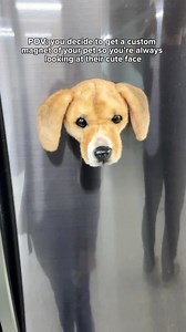 25K views · 991 reactions | Cuddle Clones on Reels | Facebook