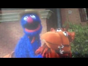 Global Grover horses