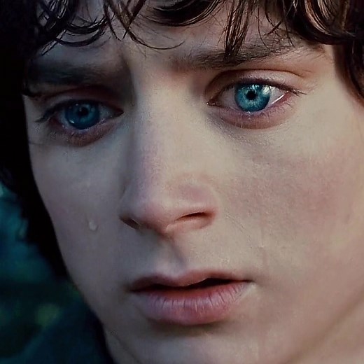 The first time I watched this scene I was so sad for Frodo🥺💔 /// TYSM for 140k followers, ily all💖 #Gandalf #Frodo #Death #balrog #lotr #lordoftherings #ringsofpower #friendship #lordoftheringsedit #thelordoftherings #edit #fy #fyp #foryoupage #viral