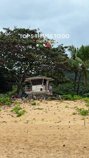 I just spent 9 days in Oahu and these are my top 5 must-dos 🌊🌴 🏄🏼‍♀️🩵 1. Kualoa Ranch (yes — where Jurassic Park was filmed, we did the bike tour!) 2. North Shore day: Waimea Bay, Giovanni’s Shrimp, food trucks, Matsumoto Shave Ice & Banzai Pipeline 3. Book a boat tour snorkel (we went with Hawaiian Ocean Charters 🤍) 4. Sunrise hike at Diamond Head — worth the early alarm 5. Ko Olina lagoons by the Disney Resort for the most relaxing beach day Save this for your Hawaii trip ✨ There is so m