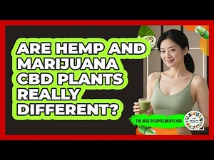 Are Hemp And Marijuana CBD Plants Really Different? - The Health Supplement Hub