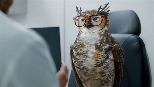 America's Best Contacts and Eyeglasses TV Spot, 'Colorblind: $79.95 for Two Pairs of Glasses'