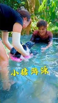 Chintu Ne Bana Di Pigi House 🤯~mini wood toy woodworking art skills/hand crafts #shorts