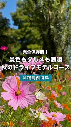 【淡路島観光】淡路島秋ドライブで巡る絶景＆グルメ日帰りモデルコース