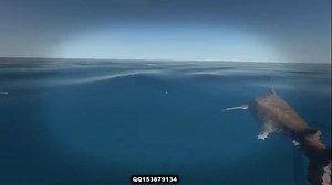 【晓丁】荒岛求生Stranded Deep第9天 智斗双鲨