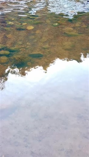 Exploring Nature by the Water: Scenic Outdoor Gestures