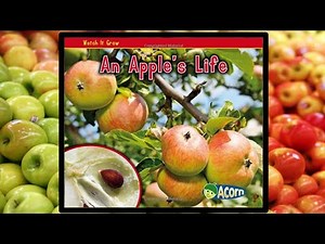 Watch It Grow An Apple's Life - Read Aloud Children's Book