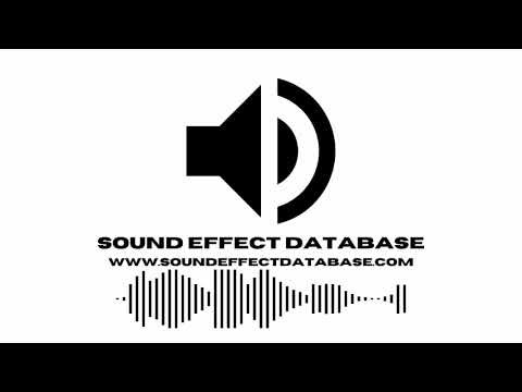 Female voice dog command good boy sound effect