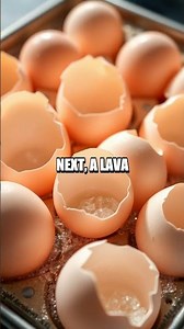 Five Everyday Home Experiments That Spark Real Science