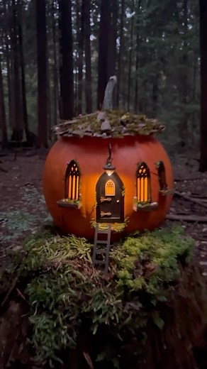 Maryinthefairyland | How about a solar-powered pumpkin fairy house? 🎃✨🤔 I just made this one, and it was so much fun to put together! If you’re feeling crafty,... | Instagram