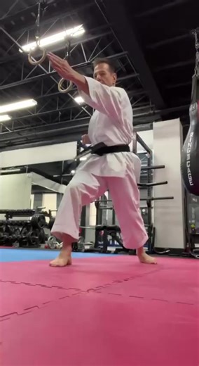 Renzoku Sonoba Kihon & Renzoku Ido Kihon Combination Techniques: Here are some sample combination fundamental techniques for training. #kihon #shitokai #karatelife #martialarts #空手の練習