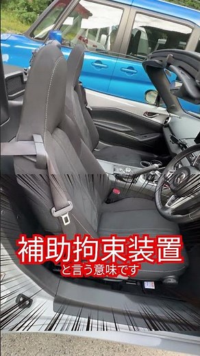 Did You Know? The Real Meaning of "SRS" Airbags